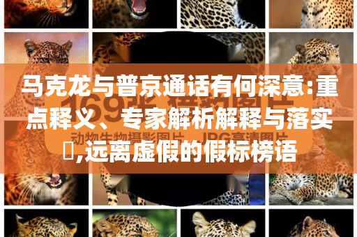 馬克龍與普京通話有何深意:重點(diǎn)釋義、專家解析解釋與落實(shí)?,遠(yuǎn)離虛假的假標(biāo)榜語