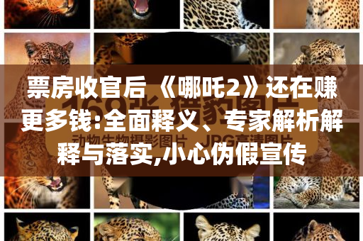 票房收官后 《哪吒2》還在賺更多錢:全面釋義、專家解析解釋與落實(shí),小心偽假宣傳