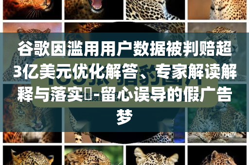 谷歌因?yàn)E用用戶數(shù)據(jù)被判賠超3億美元優(yōu)化解答、專家解讀解釋與落實(shí)?-留心誤導(dǎo)的假廣告夢(mèng)