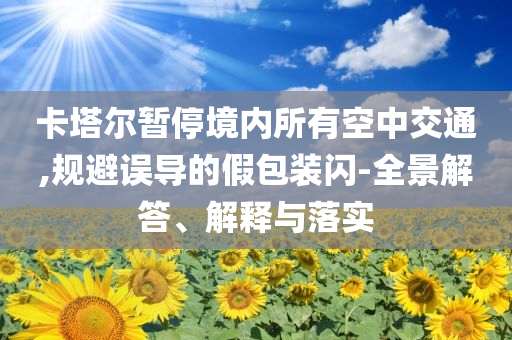 卡塔爾暫停境內(nèi)所有空中交通,規(guī)避誤導(dǎo)的假包裝閃-全景解答、解釋與落實(shí)