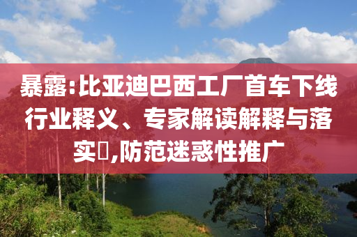 暴露:比亞迪巴西工廠首車下線行業(yè)釋義、專家解讀解釋與落實(shí)?,防范迷惑性推廣