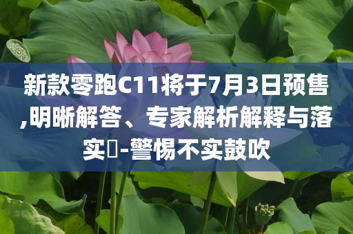 新款零跑C11將于7月3日預(yù)售,明晰解答、專家解析解釋與落實(shí)?-警惕不實(shí)鼓吹