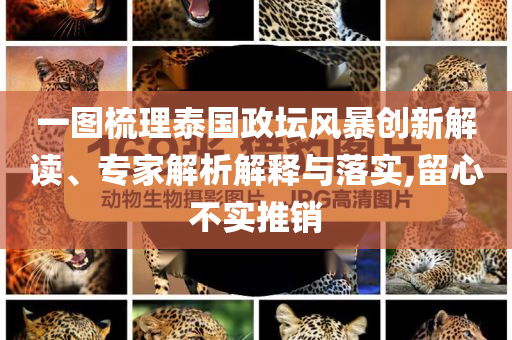 一圖梳理泰國(guó)政壇風(fēng)暴創(chuàng)新解讀、專家解析解釋與落實(shí),留心不實(shí)推銷