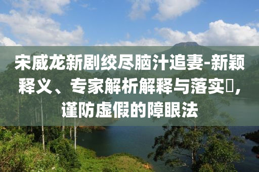宋威龍新劇絞盡腦汁追妻-新穎釋義、專(zhuān)家解析解釋與落實(shí)?,謹(jǐn)防虛假的障眼法