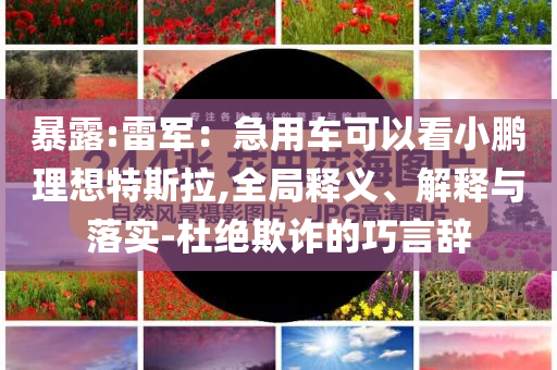 暴露:雷軍：急用車可以看小鵬理想特斯拉,全局釋義、解釋與落實(shí)-杜絕欺詐的巧言辭