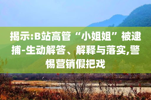 揭示:B站高管“小姐姐”被逮捕-生動解答、解釋與落實,警惕營銷假把戲