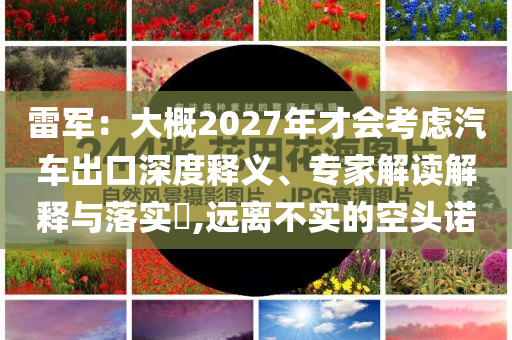 雷軍：大概2027年才會(huì)考慮汽車出口深度釋義、專家解讀解釋與落實(shí)?,遠(yuǎn)離不實(shí)的空頭諾