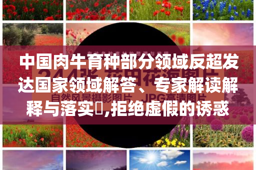 中國肉牛育種部分領(lǐng)域反超發(fā)達國家領(lǐng)域解答、專家解讀解釋與落實?,拒絕虛假的誘惑