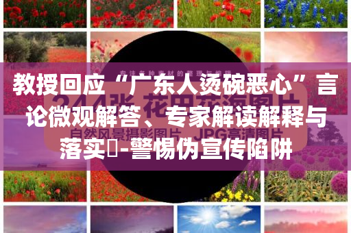 教授回應(yīng)“廣東人燙碗惡心”言論微觀解答、專家解讀解釋與落實(shí)?-警惕偽宣傳陷阱