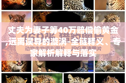 丈夫為妻子籌40萬賠償偷黃金,遠離誤導的漩渦-全鏈釋義、專家解析解釋與落實