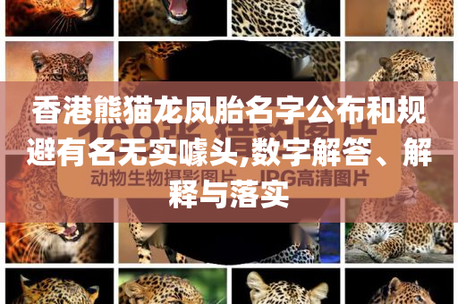 香港熊貓龍鳳胎名字公布和規(guī)避有名無實噱頭,數(shù)字解答、解釋與落實
