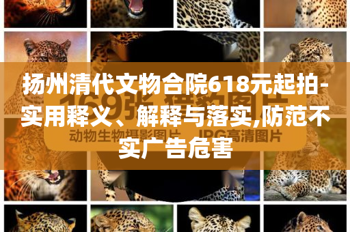 揚(yáng)州清代文物合院618元起拍-實用釋義、解釋與落實,防范不實廣告危害