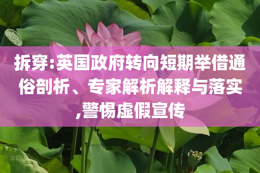 拆穿:英國(guó)政府轉(zhuǎn)向短期舉借通俗剖析、專家解析解釋與落實(shí),警惕虛假宣傳