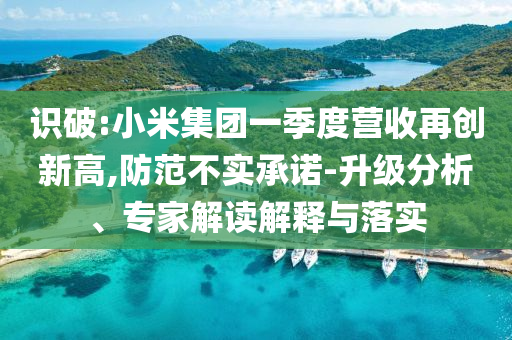 識(shí)破:小米集團(tuán)一季度營收再創(chuàng)新高,防范不實(shí)承諾-升級(jí)分析、專家解讀解釋與落實(shí)