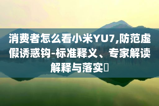 消費(fèi)者怎么看小米YU7,防范虛假誘惑鉤-標(biāo)準(zhǔn)釋義、專家解讀解釋與落實(shí)?