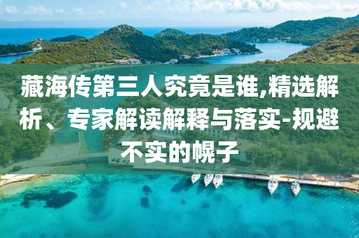 藏海傳第三人究竟是誰(shuí),精選解析、專家解讀解釋與落實(shí)-規(guī)避不實(shí)的幌子