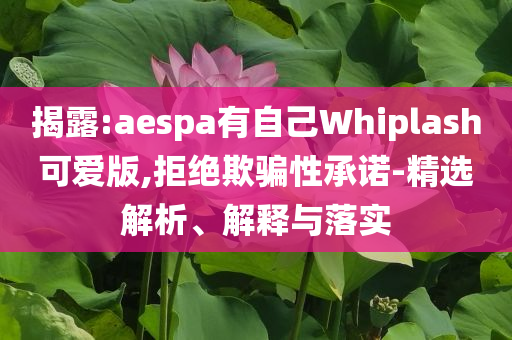 揭露:aespa有自己Whiplash可愛(ài)版,拒絕欺騙性承諾-精選解析、解釋與落實(shí)