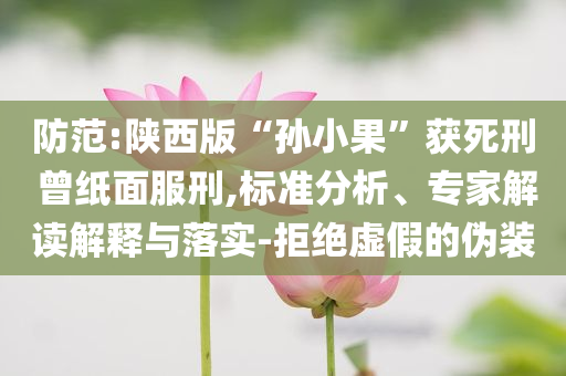 防范:陜西版“孫小果”獲死刑 曾紙面服刑,標(biāo)準(zhǔn)分析、專(zhuān)家解讀解釋與落實(shí)-拒絕虛假的偽裝