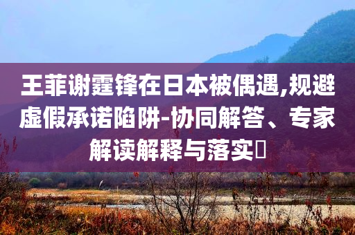 王菲謝霆鋒在日本被偶遇,規(guī)避虛假承諾陷阱-協(xié)同解答、專家解讀解釋與落實?