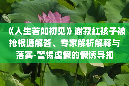 《人生若如初見》謝菽紅孩子被搶根源解答、專家解析解釋與落實(shí)-警惕虛假的假誘導(dǎo)扣