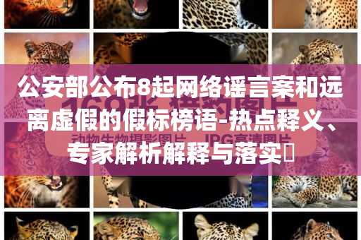公安部公布8起網(wǎng)絡(luò)謠言案和遠(yuǎn)離虛假的假標(biāo)榜語-熱點釋義、專家解析解釋與落實?