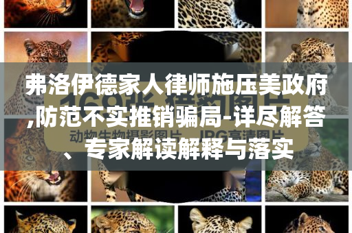 弗洛伊德家人律師施壓美政府,防范不實(shí)推銷騙局-詳盡解答、專家解讀解釋與落實(shí)
