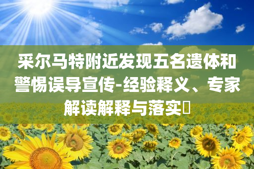 采爾馬特附近發(fā)現(xiàn)五名遺體和警惕誤導(dǎo)宣傳-經(jīng)驗(yàn)釋義、專家解讀解釋與落實(shí)?