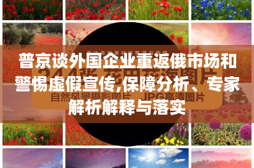 普京談外國企業(yè)重返俄市場和警惕虛假宣傳,保障分析、專家解析解釋與落實