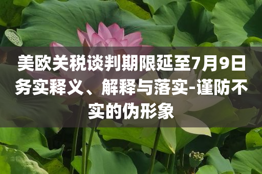 美歐關(guān)稅談判期限延至7月9日務(wù)實釋義、解釋與落實-謹(jǐn)防不實的偽形象