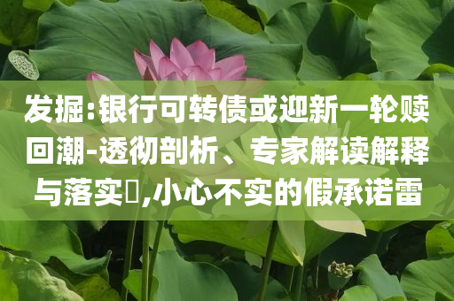 發(fā)掘:銀行可轉(zhuǎn)債或迎新一輪贖回潮-透徹剖析、專家解讀解釋與落實(shí)?,小心不實(shí)的假承諾雷