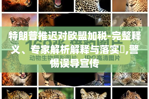 特朗普推遲對(duì)歐盟加稅-完整釋義、專家解析解釋與落實(shí)?,警惕誤導(dǎo)宣傳