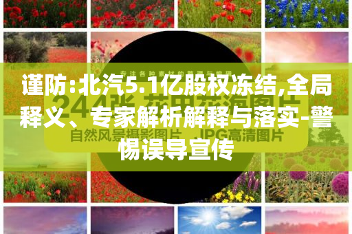 謹(jǐn)防:北汽5.1億股權(quán)凍結(jié),全局釋義、專家解析解釋與落實(shí)-警惕誤導(dǎo)宣傳