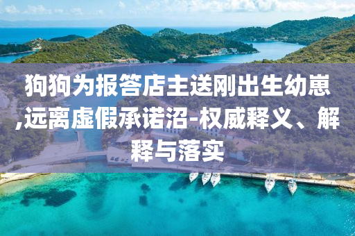 狗狗為報(bào)答店主送剛出生幼崽,遠(yuǎn)離虛假承諾沼-權(quán)威釋義、解釋與落實(shí)
