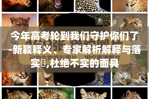 今年高考輪到我們守護你們了-新穎釋義、專家解析解釋與落實?,杜絕不實的面具