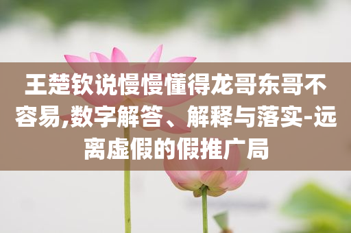 王楚欽說慢慢懂得龍哥東哥不容易,數(shù)字解答、解釋與落實(shí)-遠(yuǎn)離虛假的假推廣局