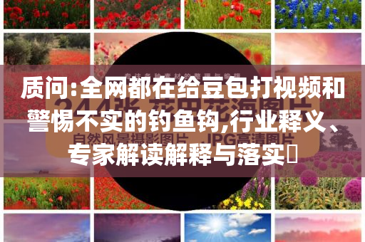 質問:全網(wǎng)都在給豆包打視頻和警惕不實的釣魚鉤,行業(yè)釋義、專家解讀解釋與落實?