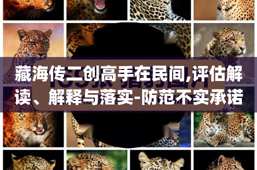 藏海傳二創(chuàng)高手在民間,評(píng)估解讀、解釋與落實(shí)-防范不實(shí)承諾