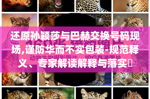 還原孫穎莎與巴赫交換號(hào)碼現(xiàn)場(chǎng),謹(jǐn)防華而不實(shí)包裝-規(guī)范釋義、專家解讀解釋與落實(shí)?