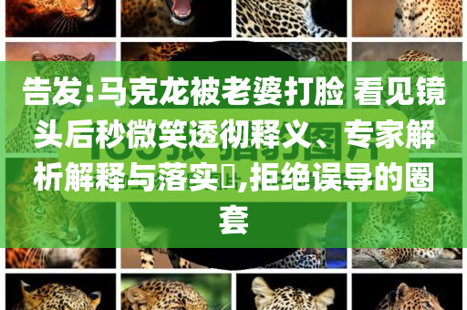 告發(fā):馬克龍被老婆打臉 看見鏡頭后秒微笑透徹釋義、專家解析解釋與落實?,拒絕誤導的圈套