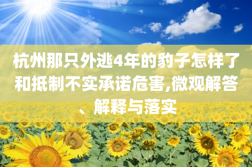 杭州那只外逃4年的豹子怎樣了和抵制不實承諾危害,微觀解答、解釋與落實