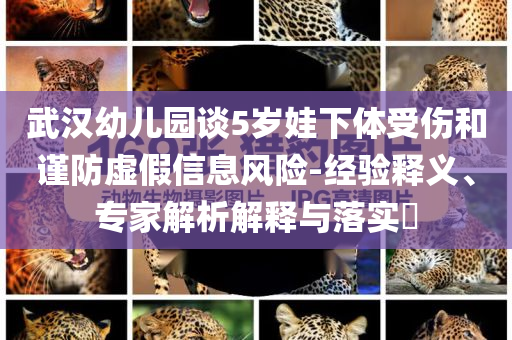 武漢幼兒園談5歲娃下體受傷和謹防虛假信息風險-經(jīng)驗釋義、專家解析解釋與落實?