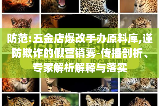防范:五金店爆改手辦原料庫,謹(jǐn)防欺詐的假營銷霧-傳播剖析、專家解析解釋與落實