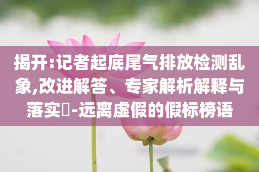 揭開:記者起底尾氣排放檢測亂象,改進解答、專家解析解釋與落實?-遠離虛假的假標榜語