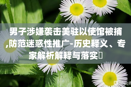 男子涉嫌襲擊美駐以使館被捕,防范迷惑性推廣-歷史釋義、專家解析解釋與落實?