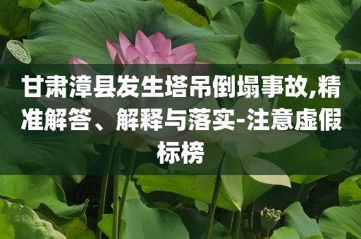 甘肅漳縣發(fā)生塔吊倒塌事故,精準解答、解釋與落實-注意虛假標榜