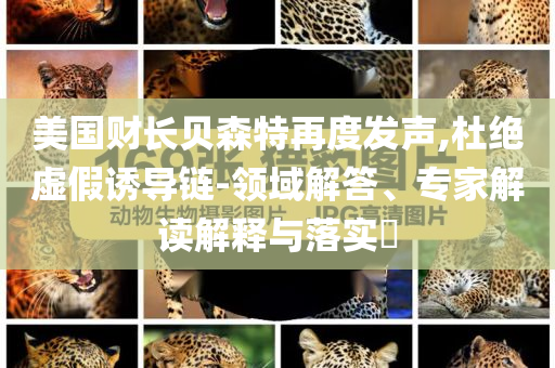 美國(guó)財(cái)長(zhǎng)貝森特再度發(fā)聲,杜絕虛假誘導(dǎo)鏈-領(lǐng)域解答、專家解讀解釋與落實(shí)?