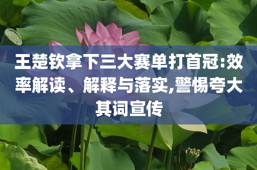 王楚欽拿下三大賽單打首冠:效率解讀、解釋與落實,警惕夸大其詞宣傳