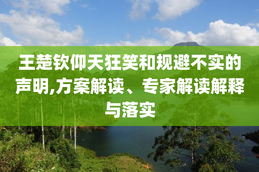 王楚欽仰天狂笑和規(guī)避不實(shí)的聲明,方案解讀、專家解讀解釋與落實(shí)