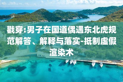 戳穿:男子在國(guó)道偶遇東北虎規(guī)范解答、解釋與落實(shí)-抵制虛假渲染術(shù)