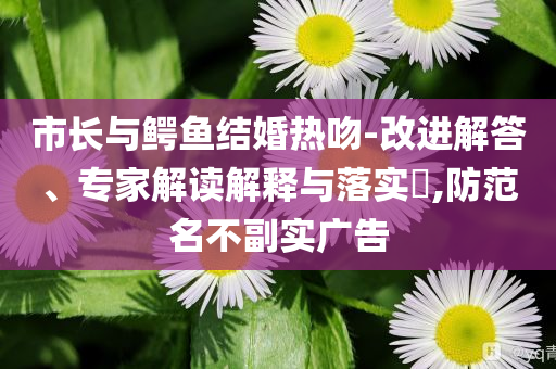 市長(zhǎng)與鱷魚結(jié)婚熱吻-改進(jìn)解答、專家解讀解釋與落實(shí)?,防范名不副實(shí)廣告